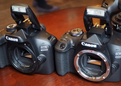 Canon 2000D vs 4000D: So Sánh chi tiết, nên chọn máy ảnh nào?