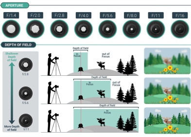 Tổng hợp kiến thức cơ bản về nhiếp ảnh cho người mới