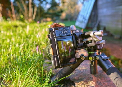 Lens Macro là gì? Các tiêu chí lựa chọn ống kính macro