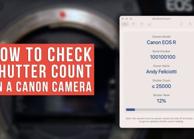 Shutter Count là gì? Có cần thiết phải check khi mua máy ảnh