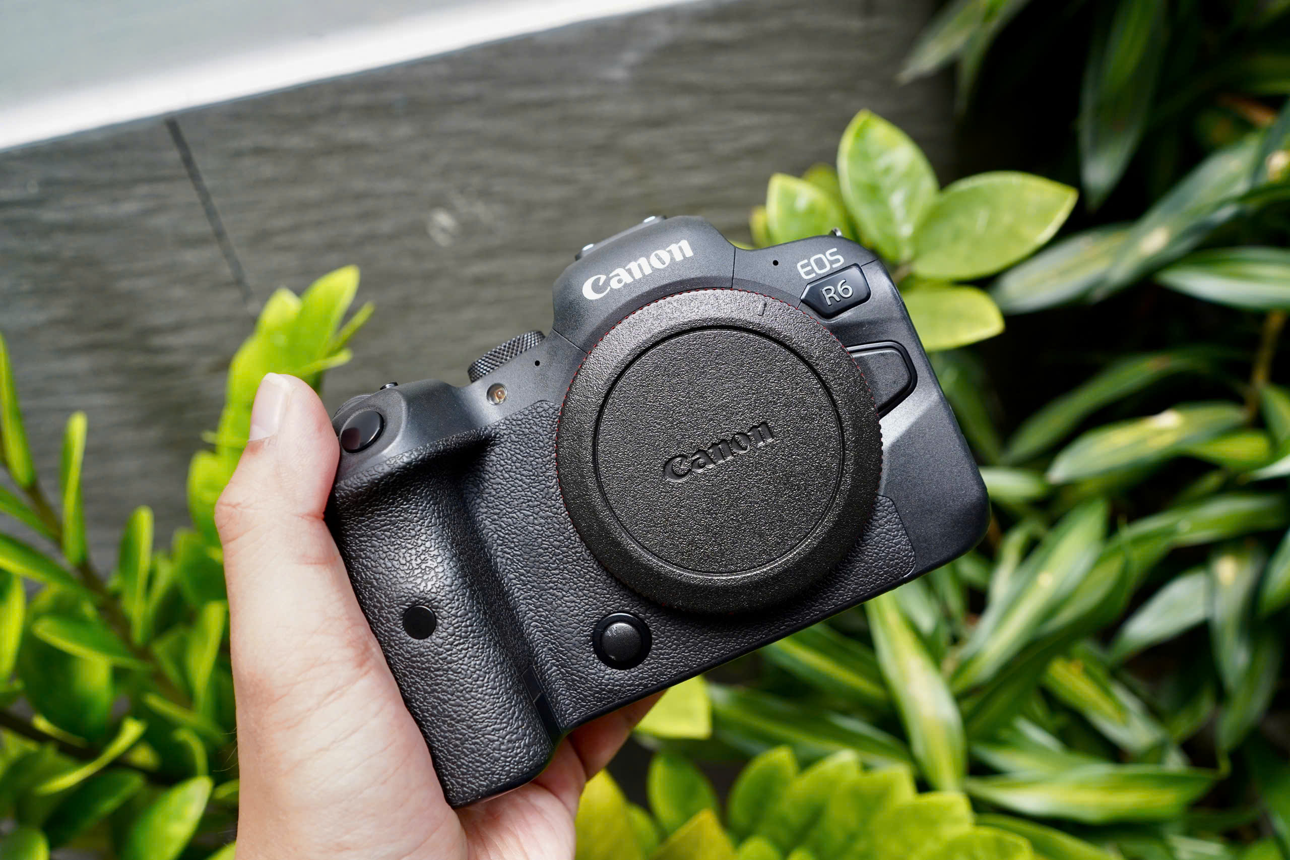 đánh giá canon r6