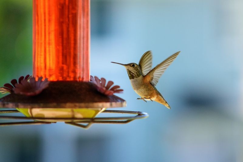 đóng băng chuyển động