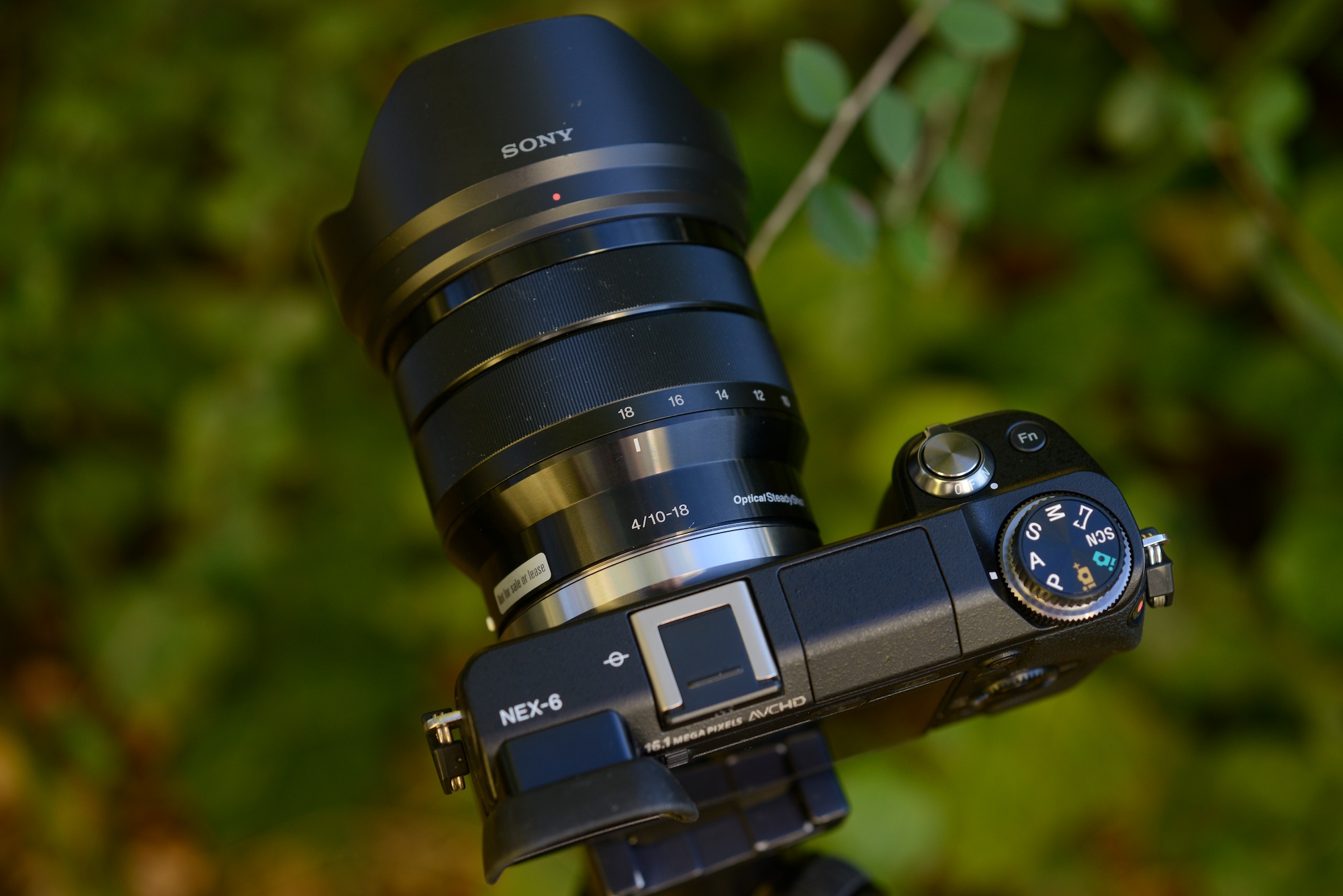Camera Sony NEX 6
