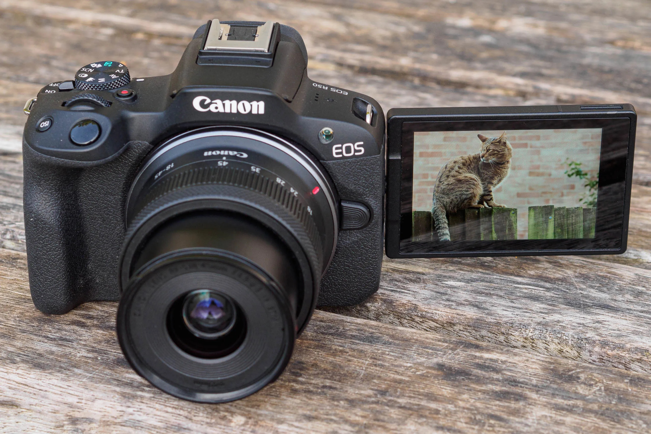 Canon 850d vs r50