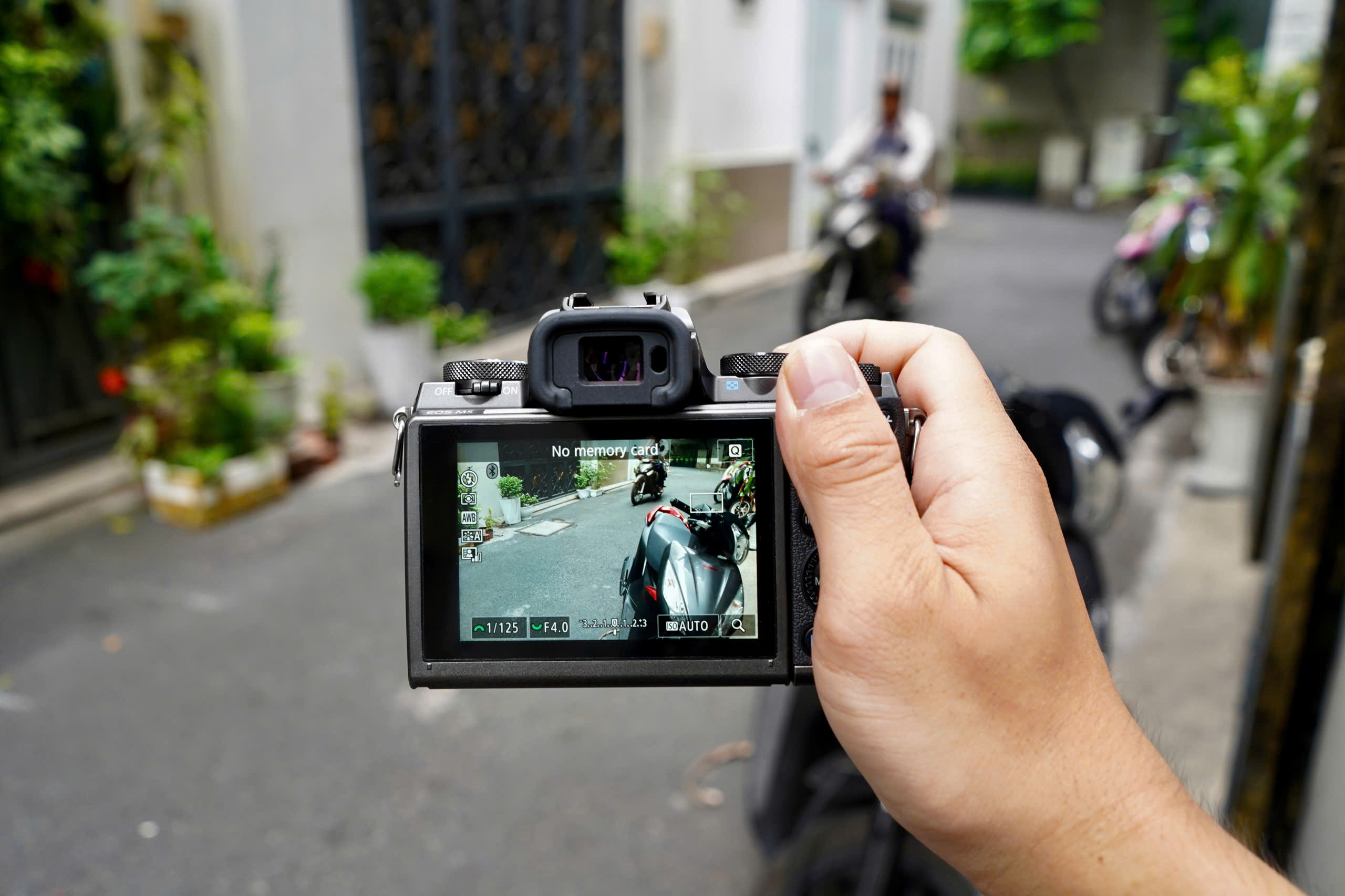 Canon M5 và M50