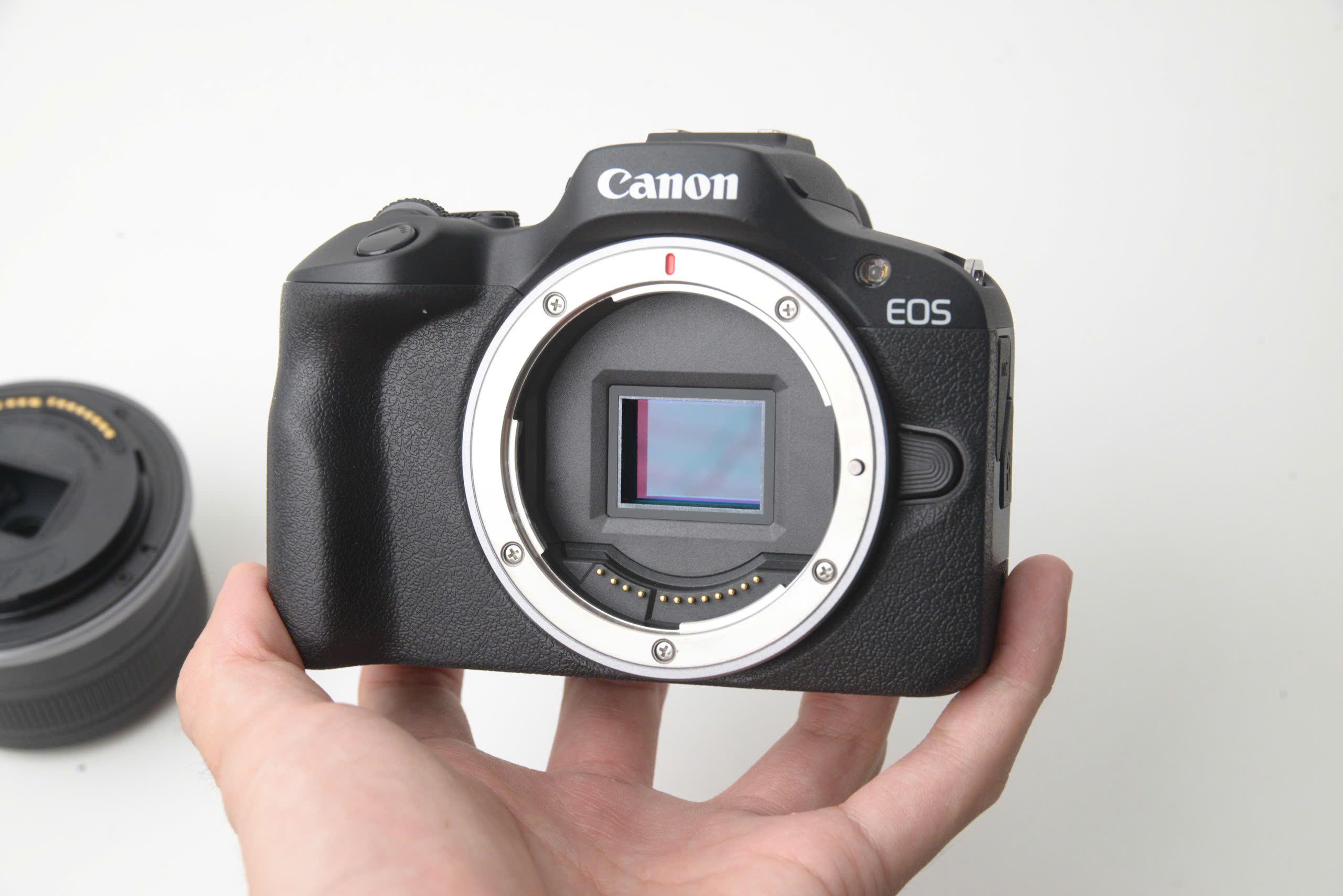 Canon R100