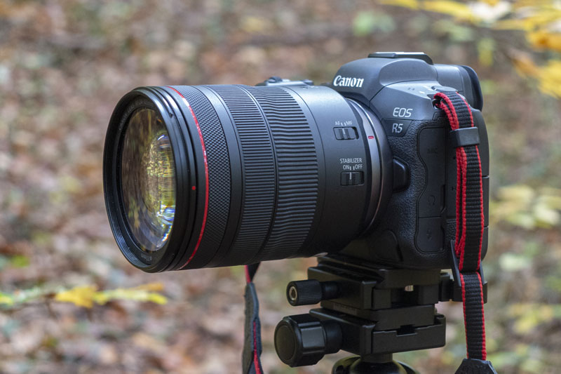 Canon R5 vs R6