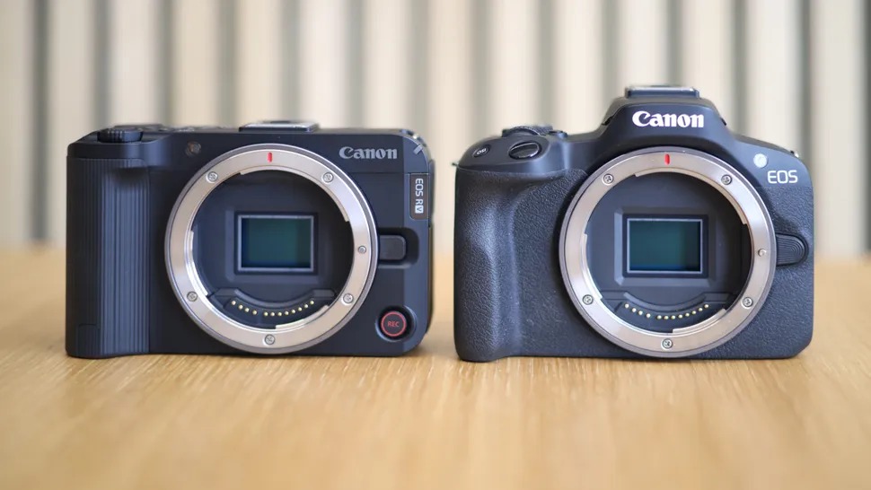 Canon R50 V vs Canon R50