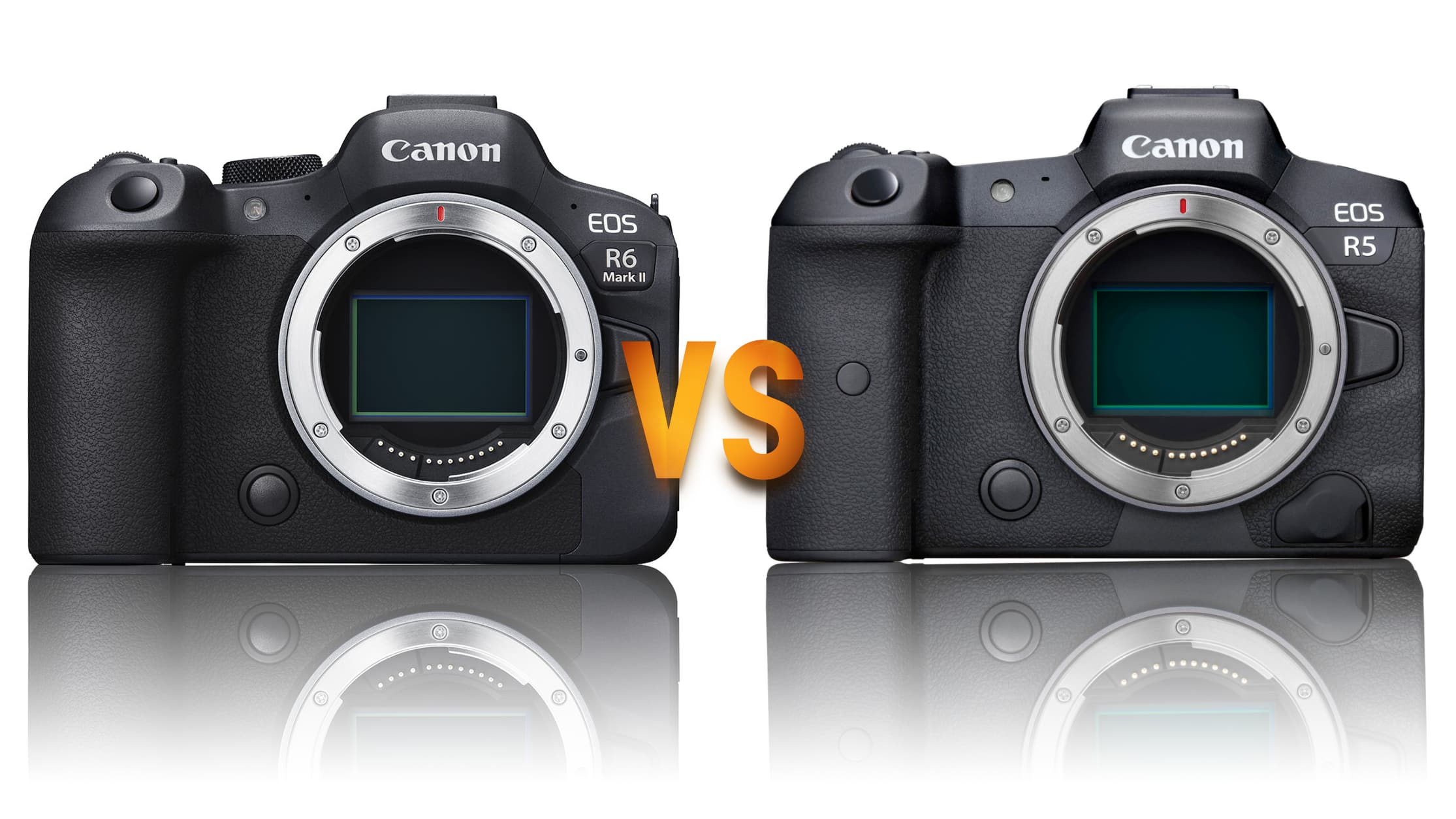 Canon R6 II vs Canon R5