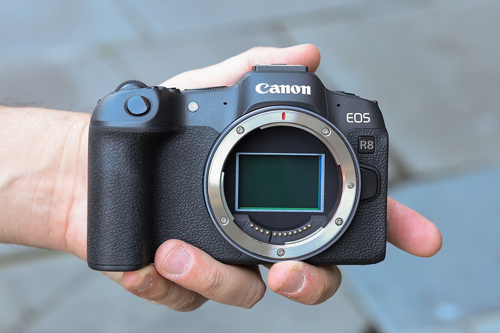 Canon R8 vs Canon R6