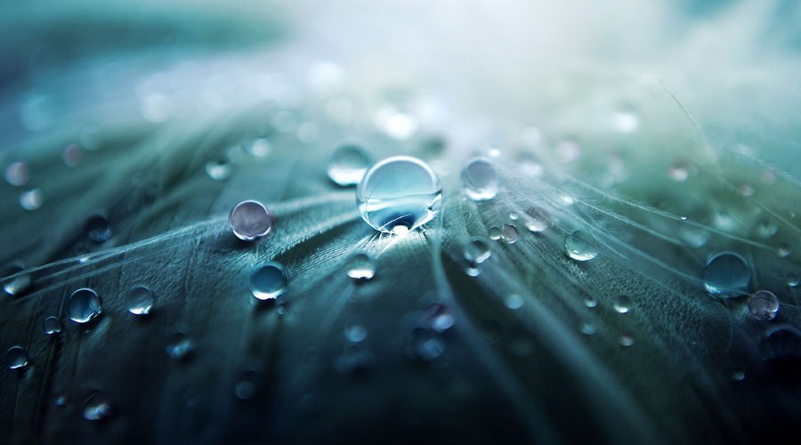 Chụp Macro Là Gì