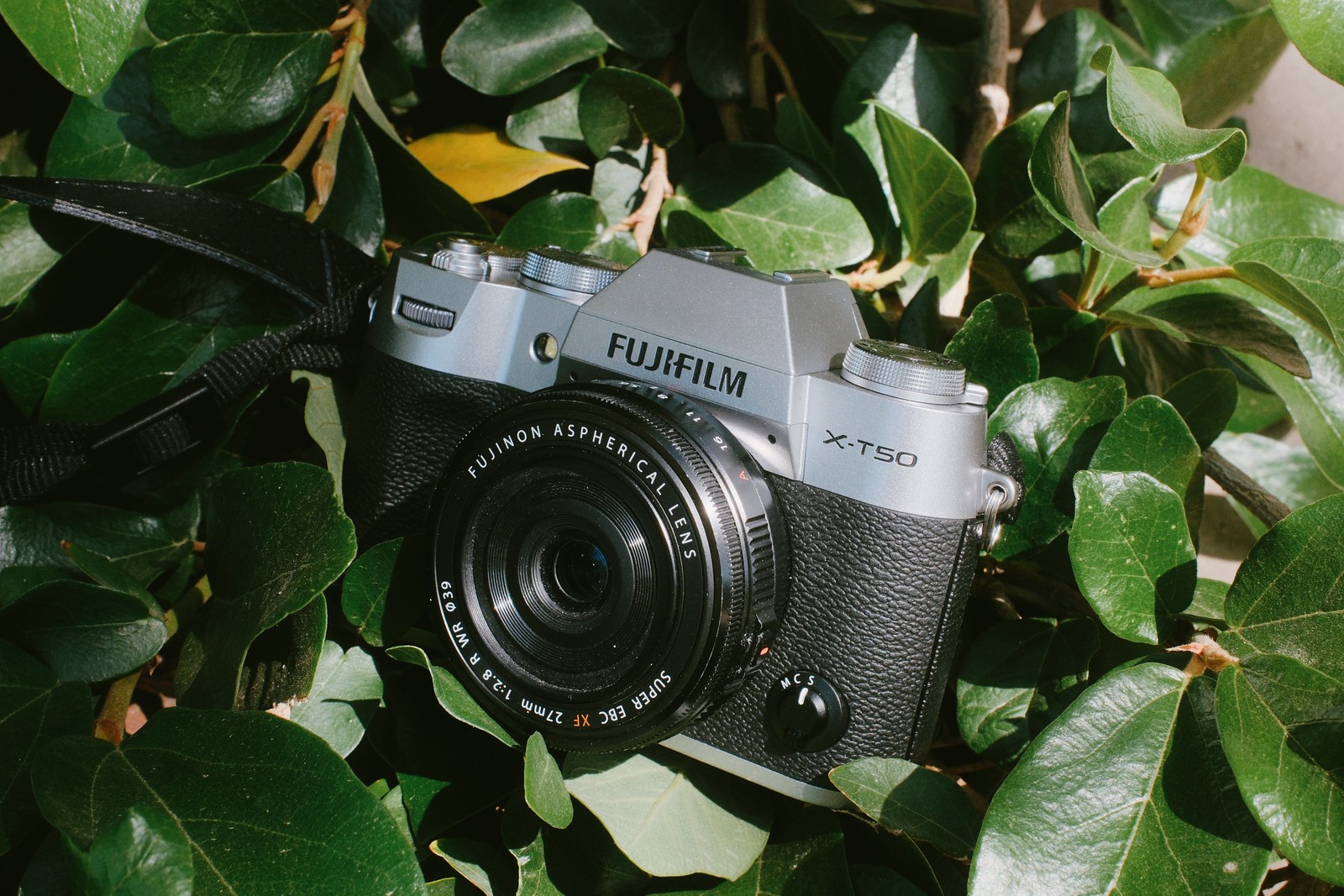 Fujifilm X-T30 III vs Fujifilm X-T50