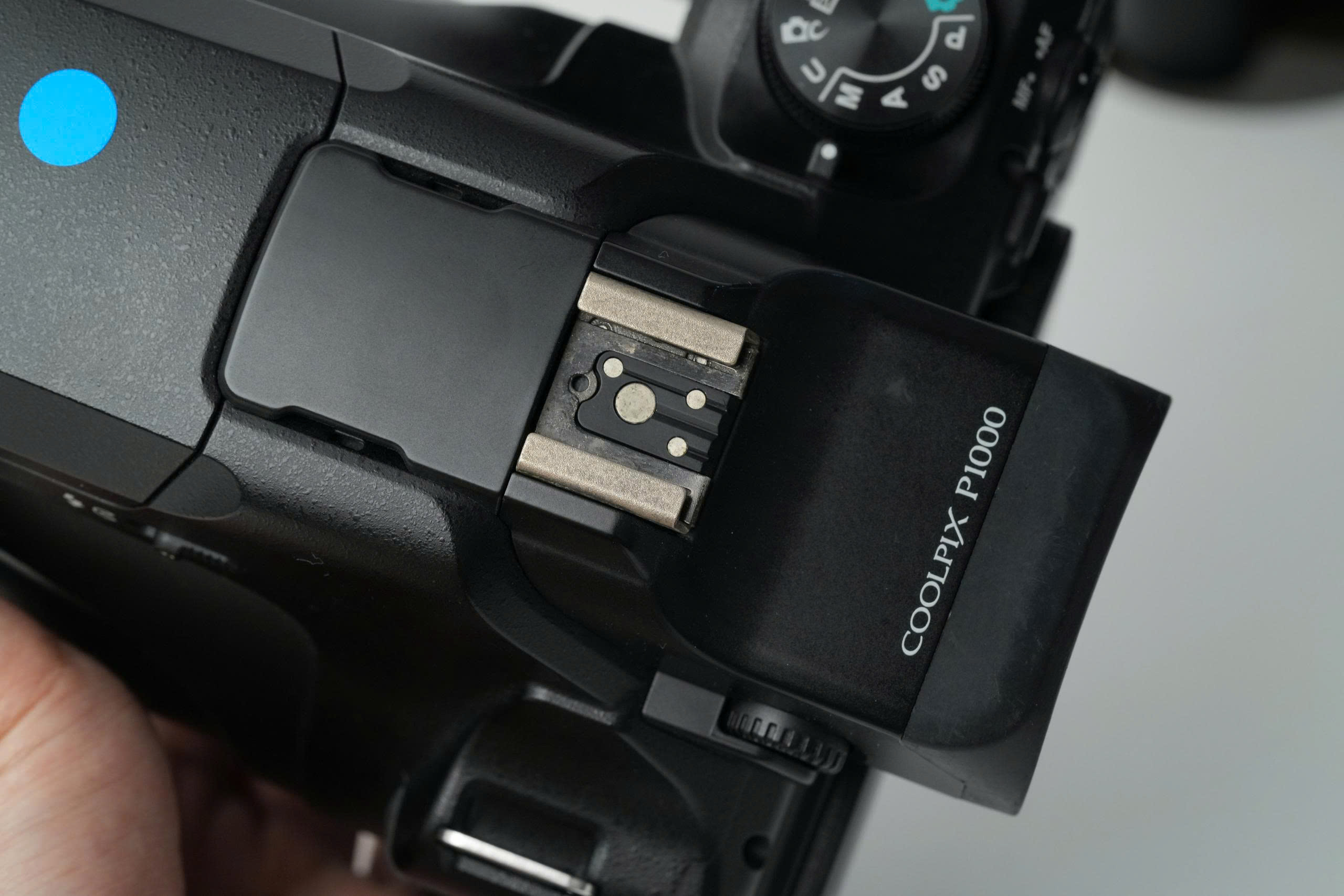 Nikon P900 vs P1000