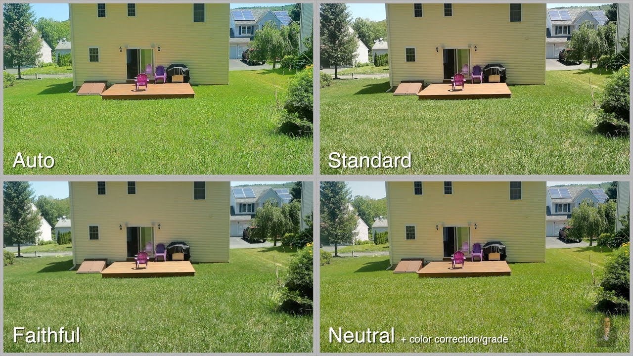 Picture Style là gì