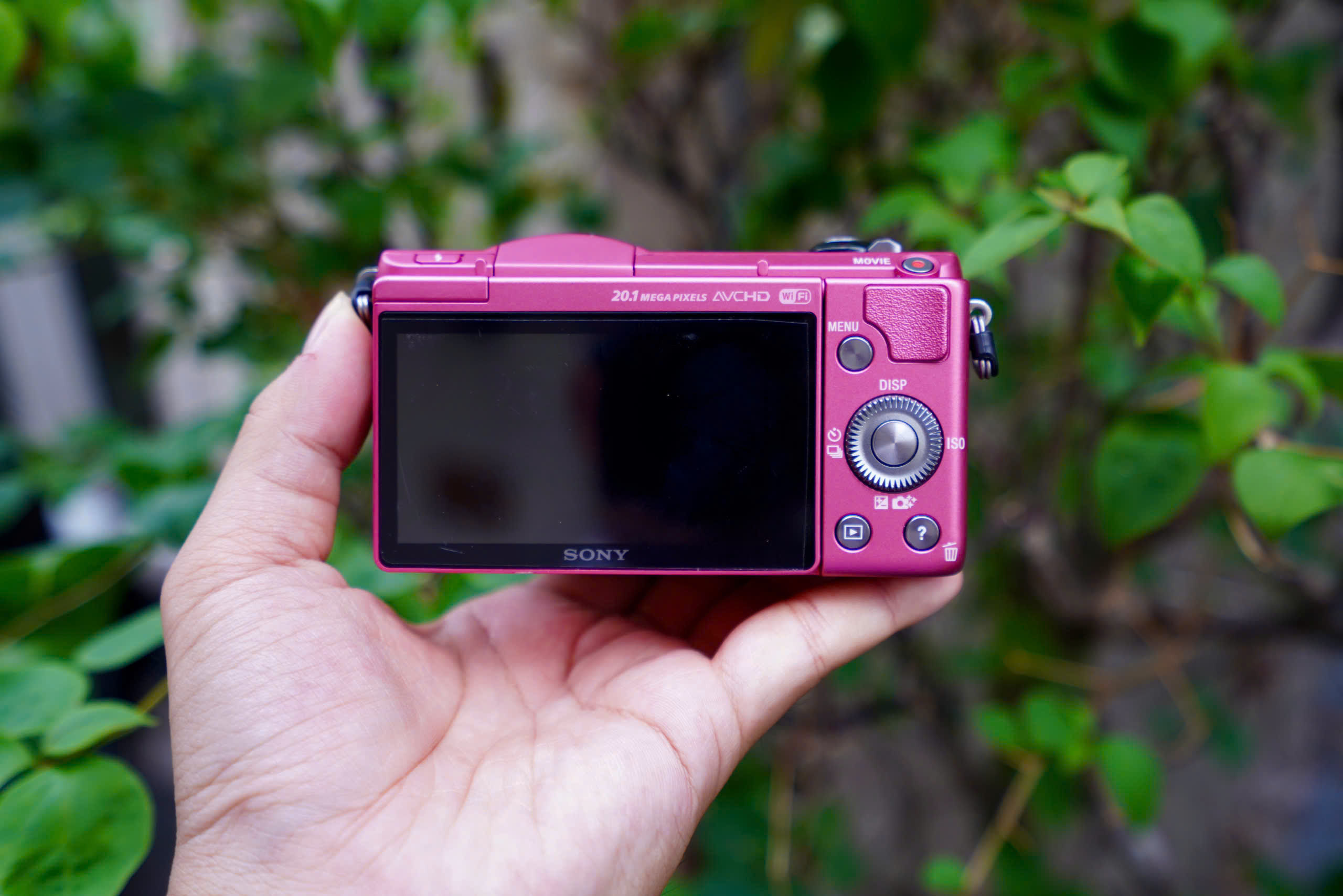 Sony A5000