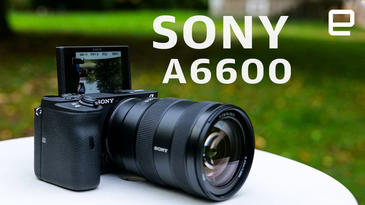 Sony A6600