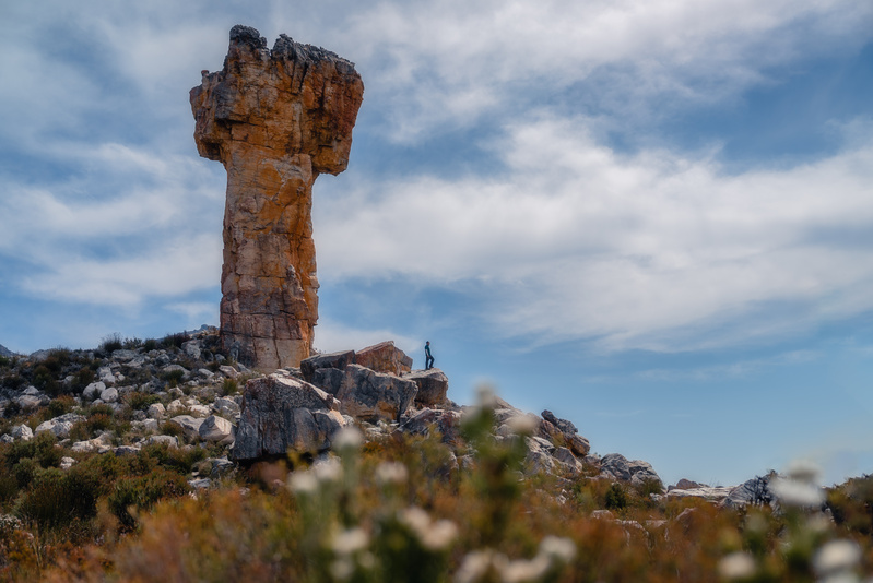 bố cục chụp ảnh