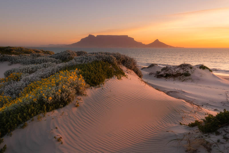 bố cục chụp ảnh