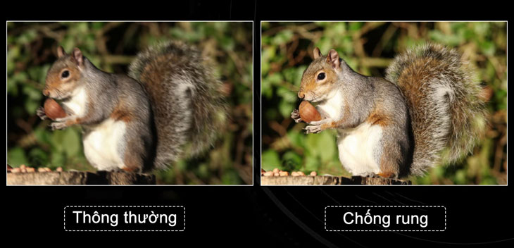 cách check máy ảnh cũ