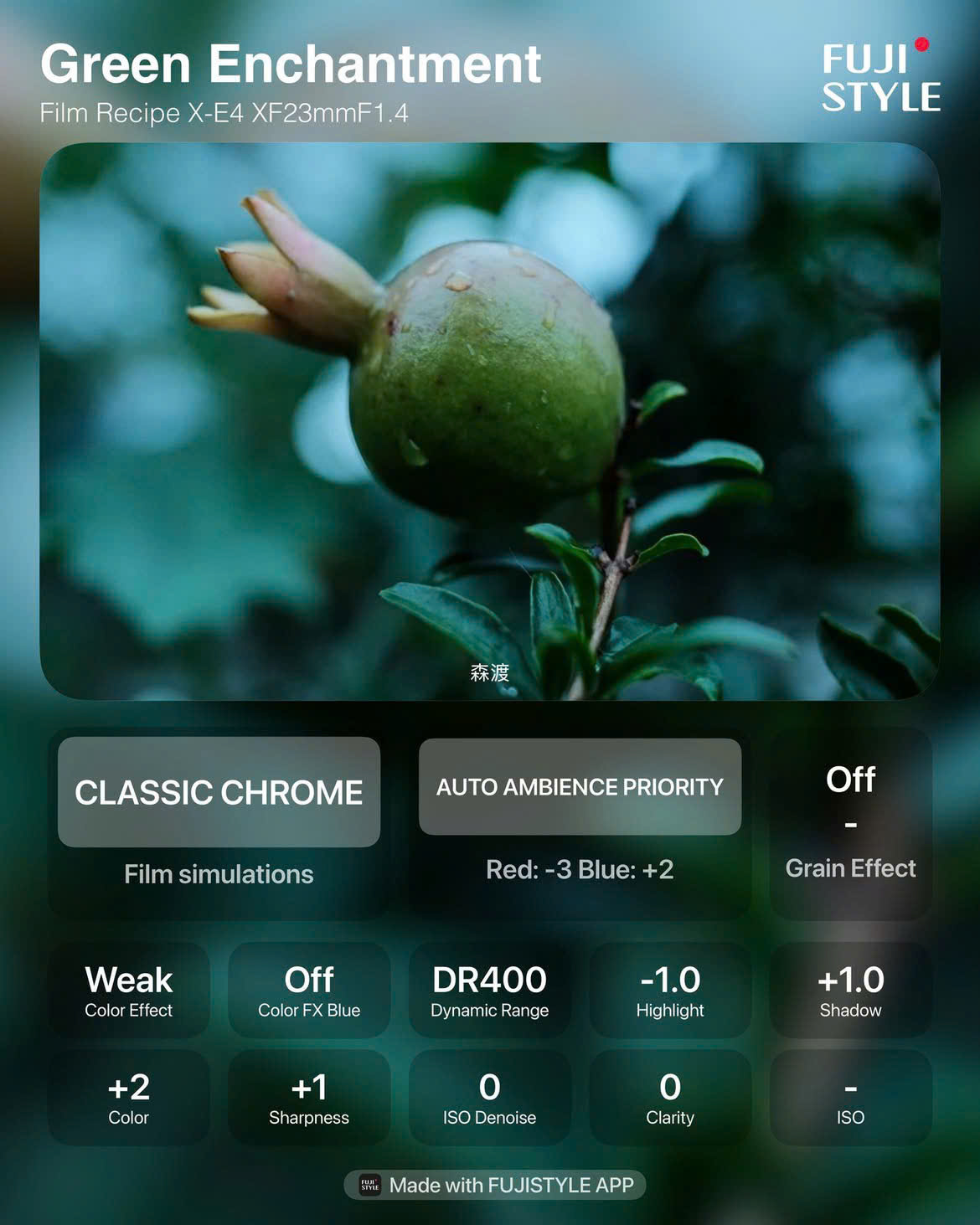 công thức màu fujifilm