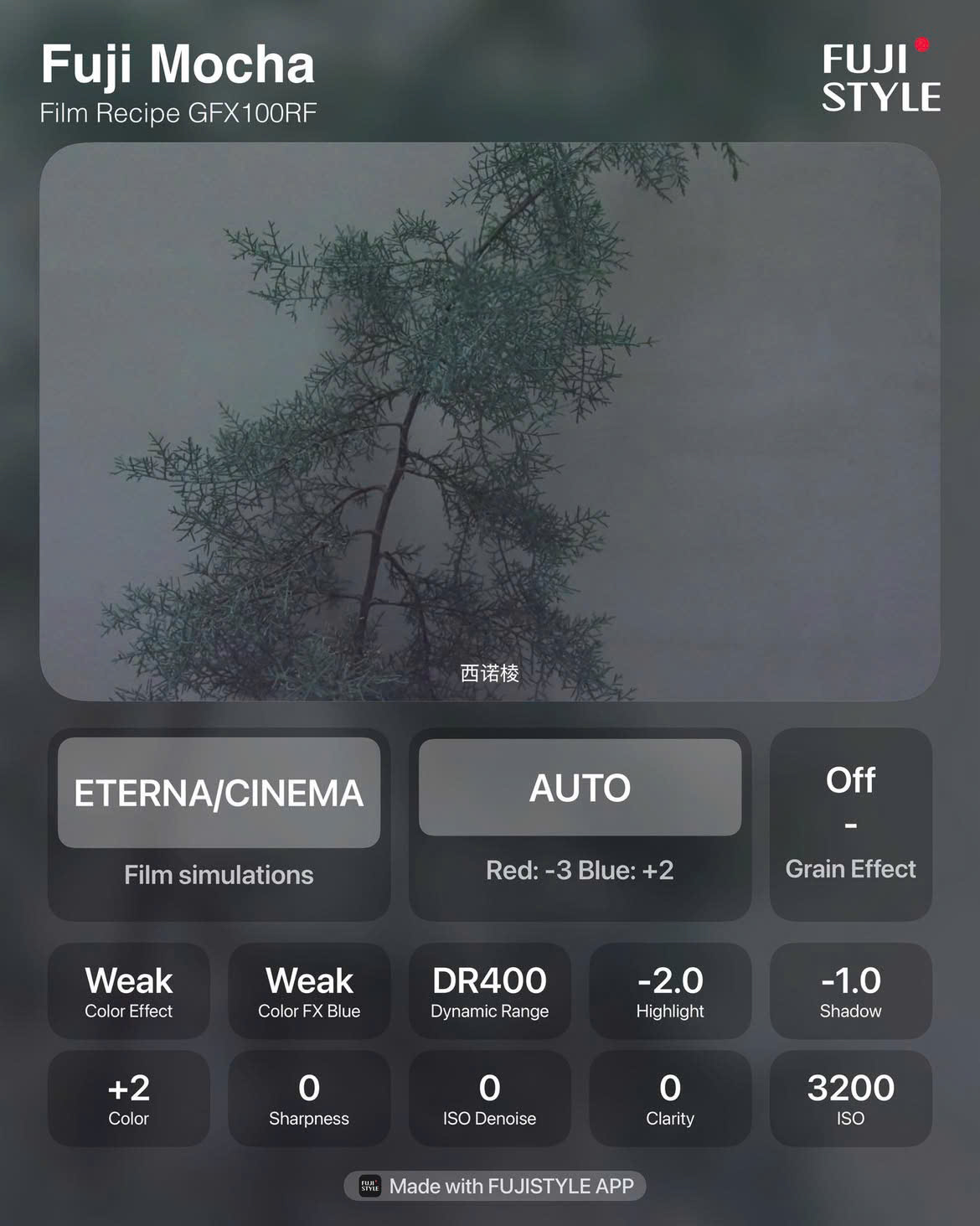 công thức màu fujifilm