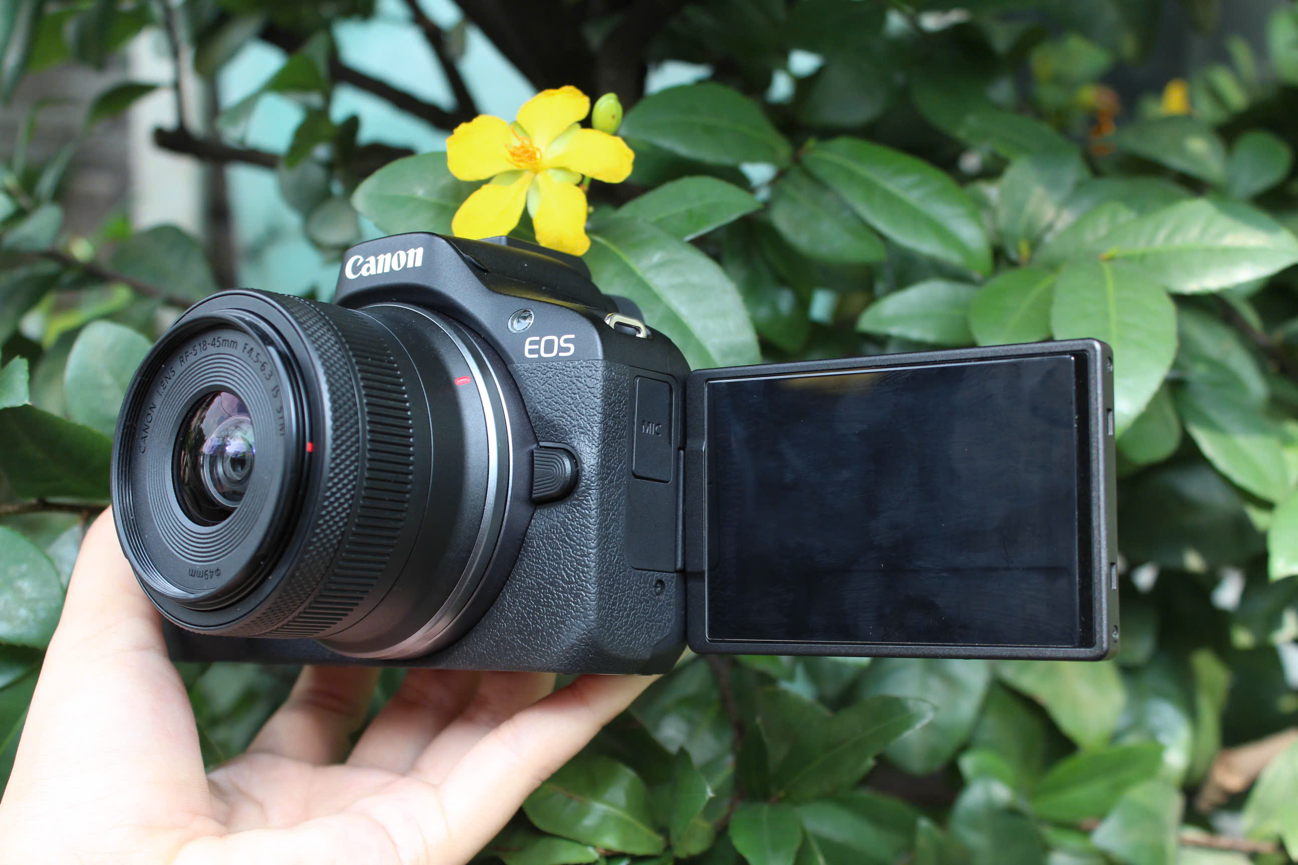 camera canon r50
