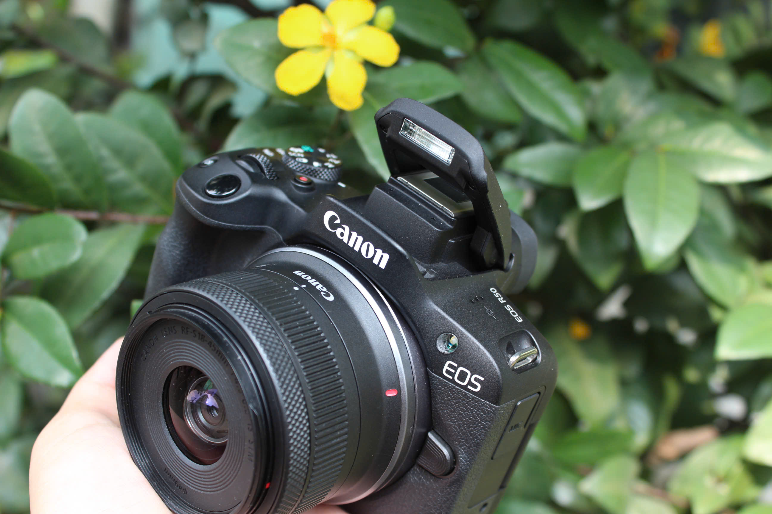camera canon r50