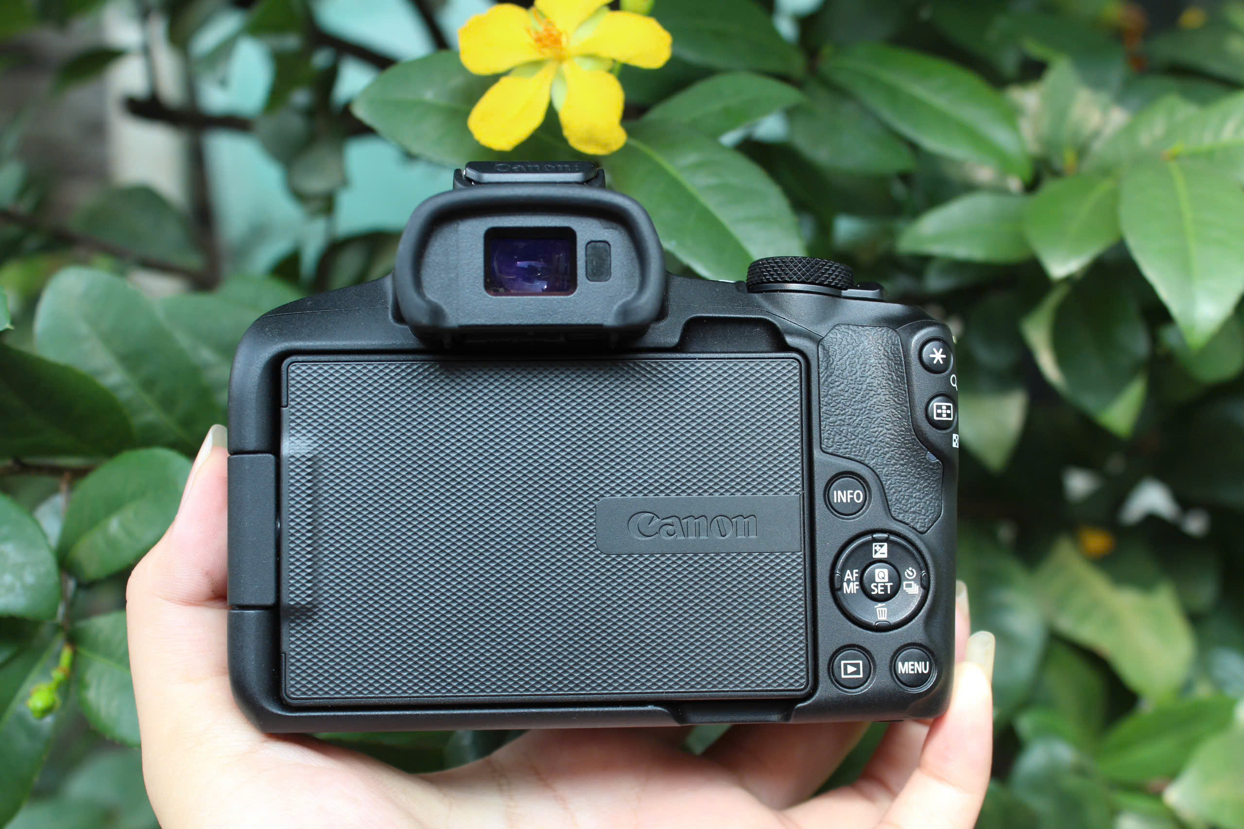 camera canon r50
