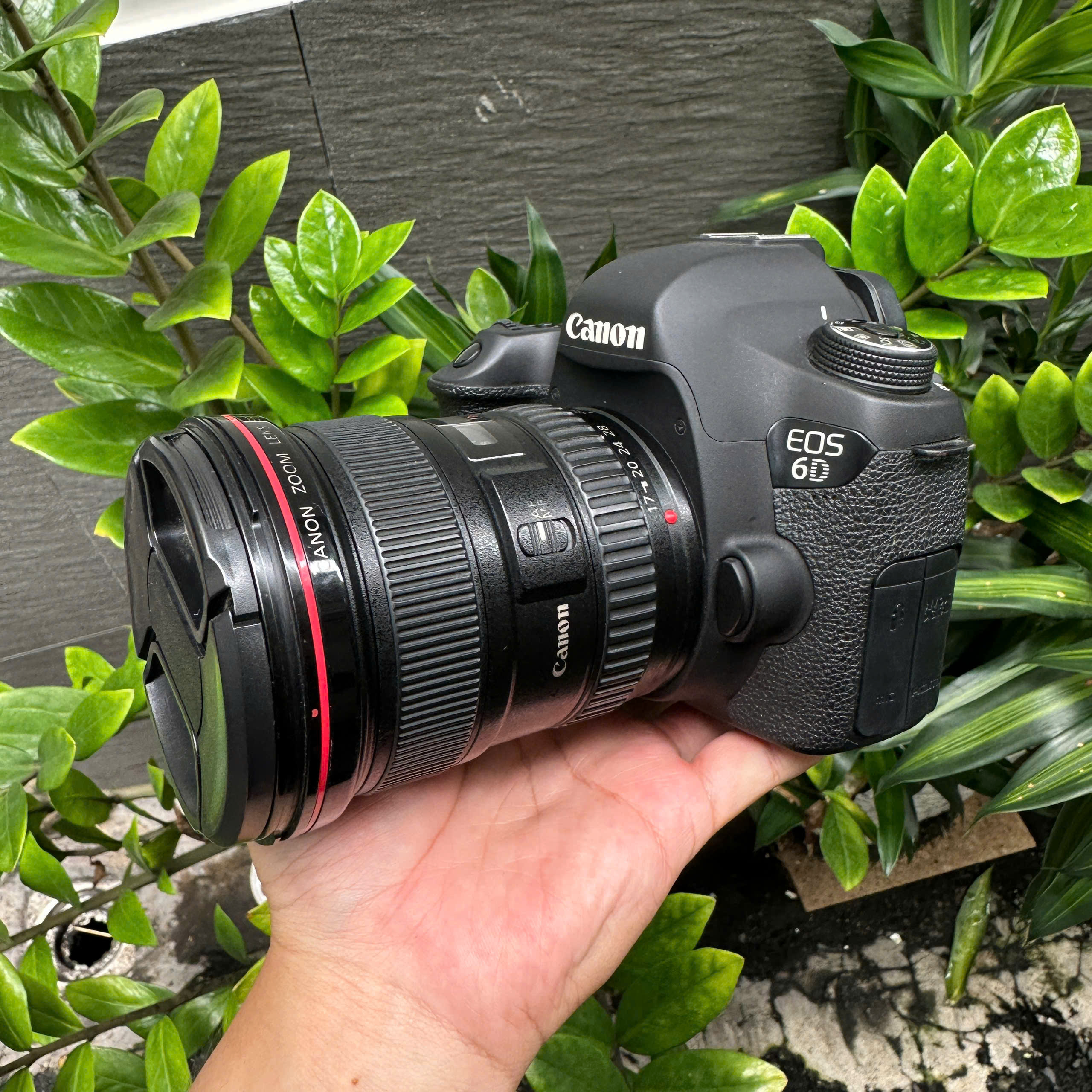 canon 6d vs canon 6d ii