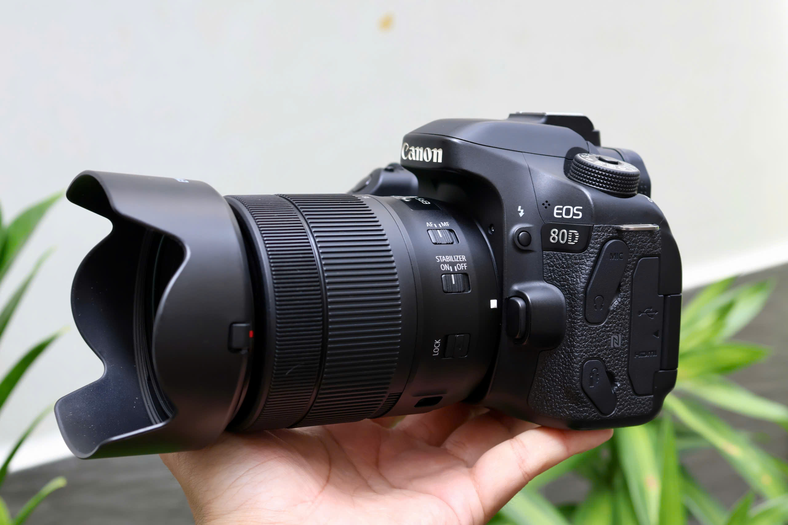 canon 77d vs 80d