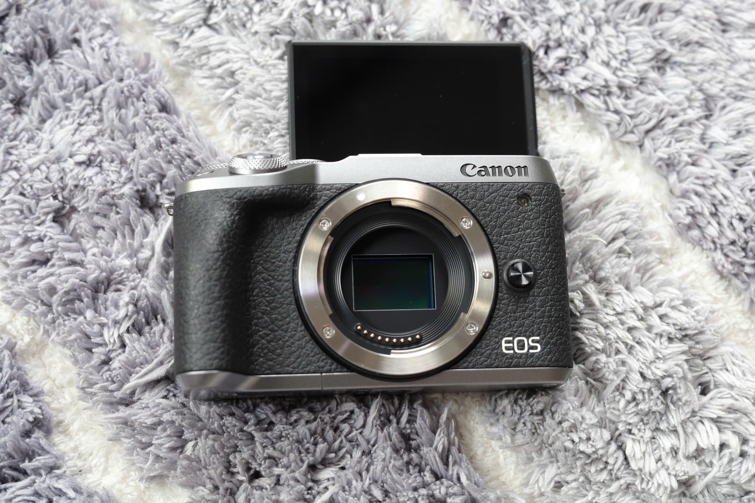 canon m6 mark ii vs m50 mark ii