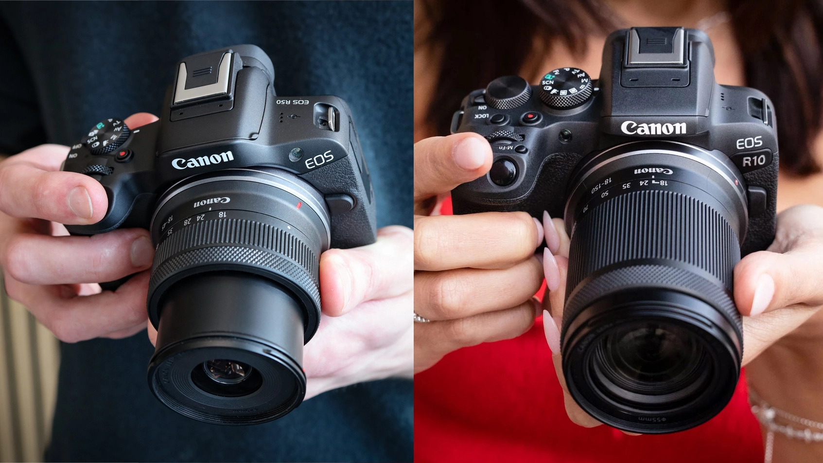 canon r10 vs r50
