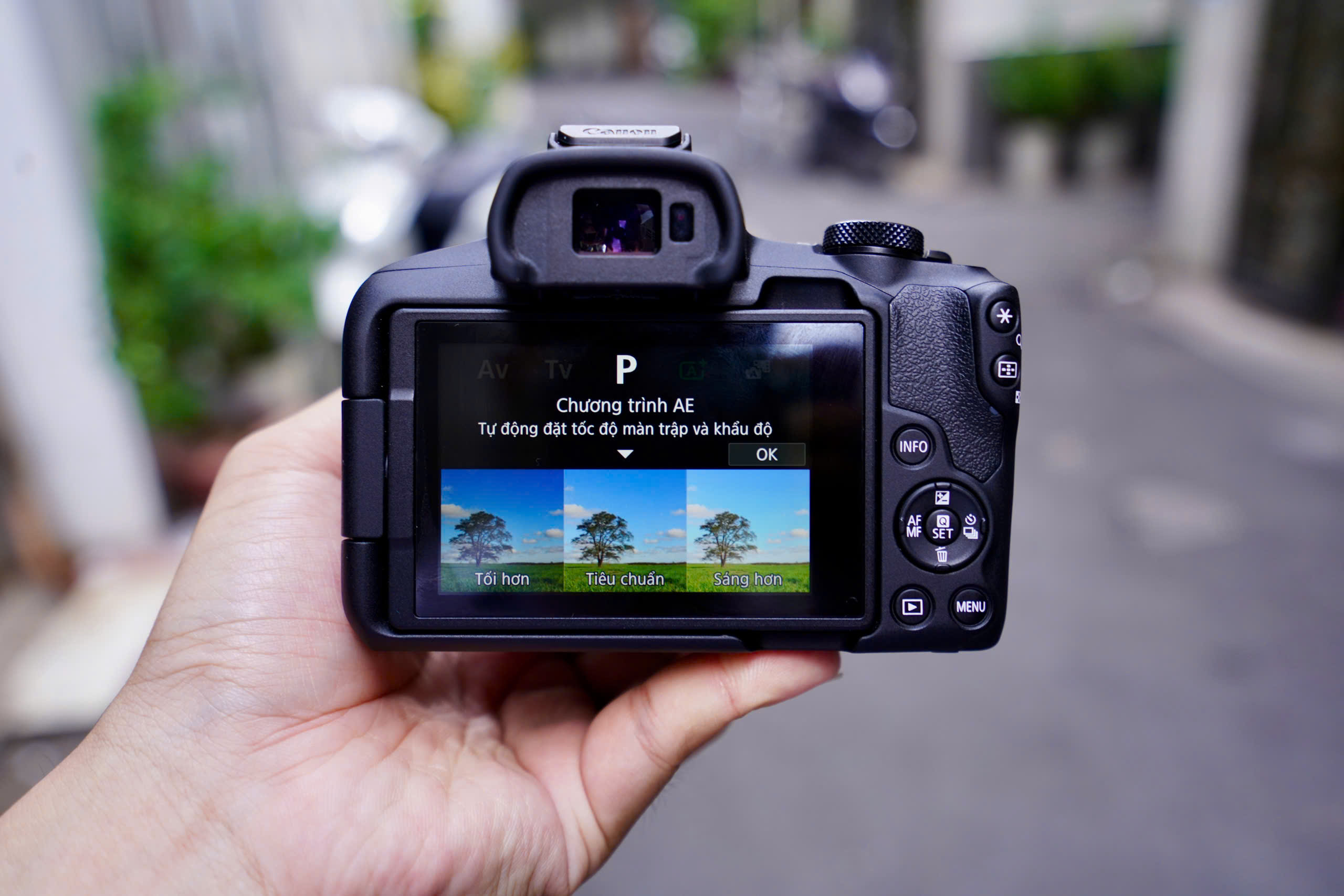 canon r10 vs r50
