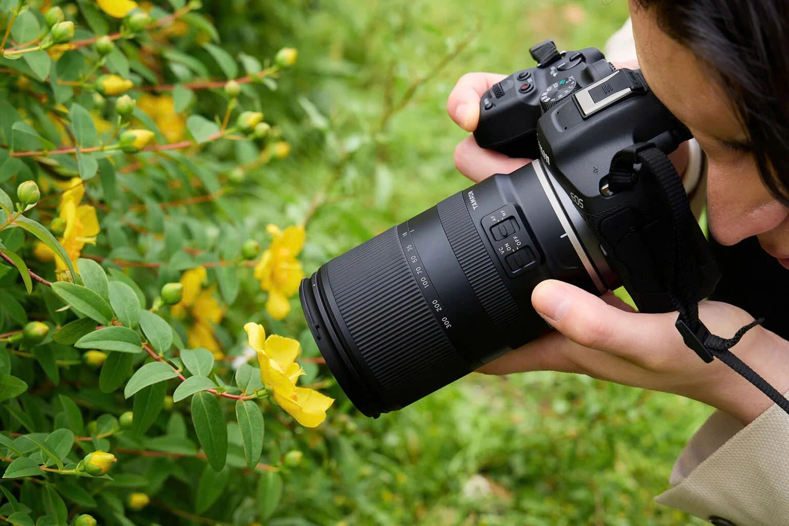 canon r50 vs fujifilm xt30