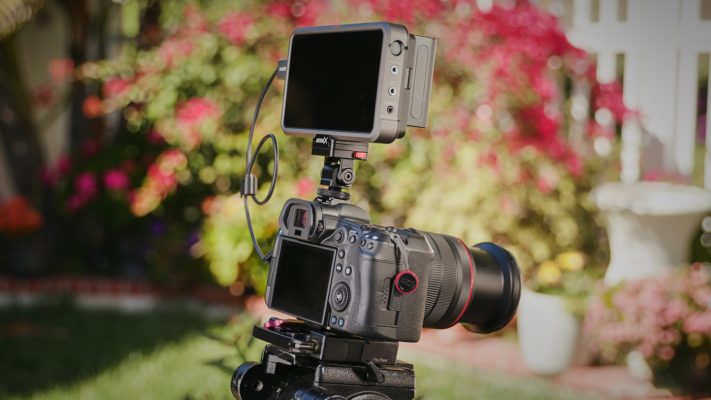 canon r8 quay vlog