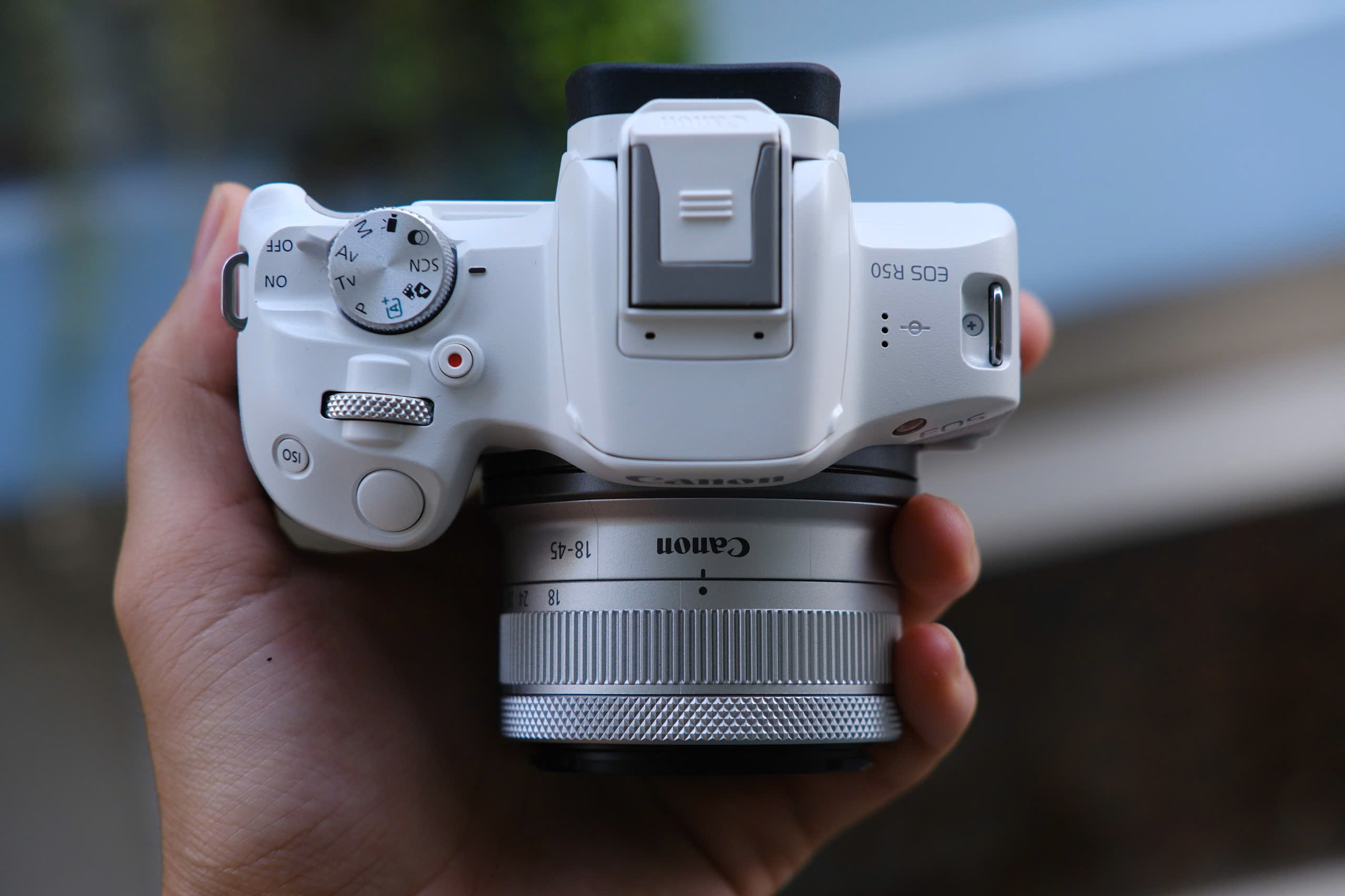 canon rp vs canon r50