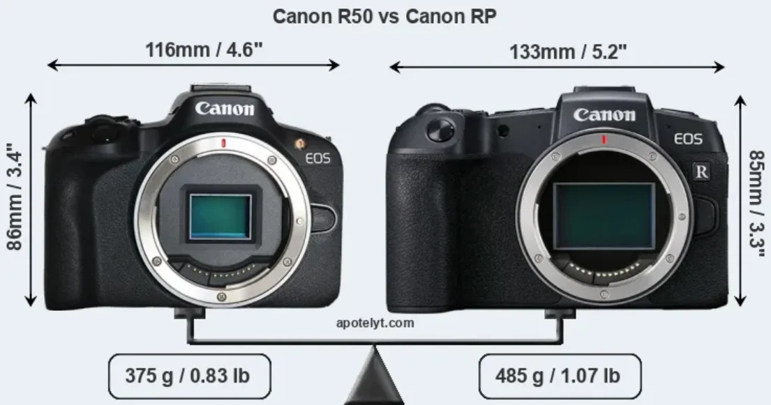 canon rp vs canon r50