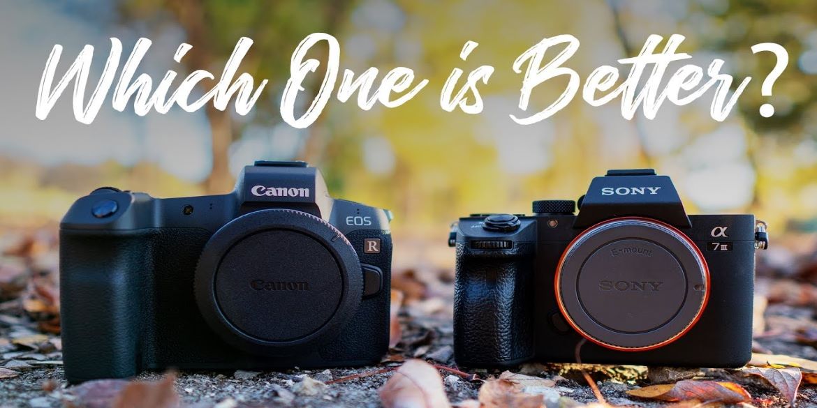 Canon R và Sony A7III là hai dòng máy được ra mắt cùng thời điểm