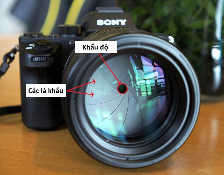 Mức độ mở của khẩu độ và ảnh hưởng đến lượng ánh sáng đi vào máy ảnh.