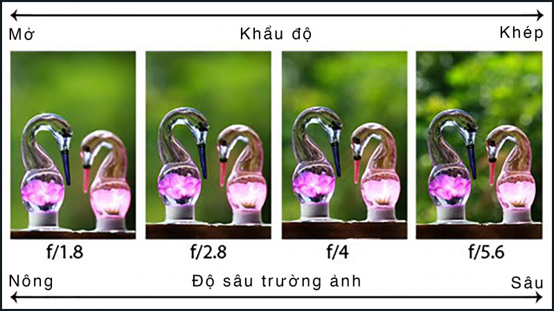 Khẩu độ f/1.8 giúp tạo chiều sâu và giữ ảnh sắc nét.