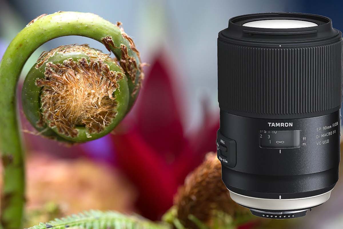 lens macro là gì