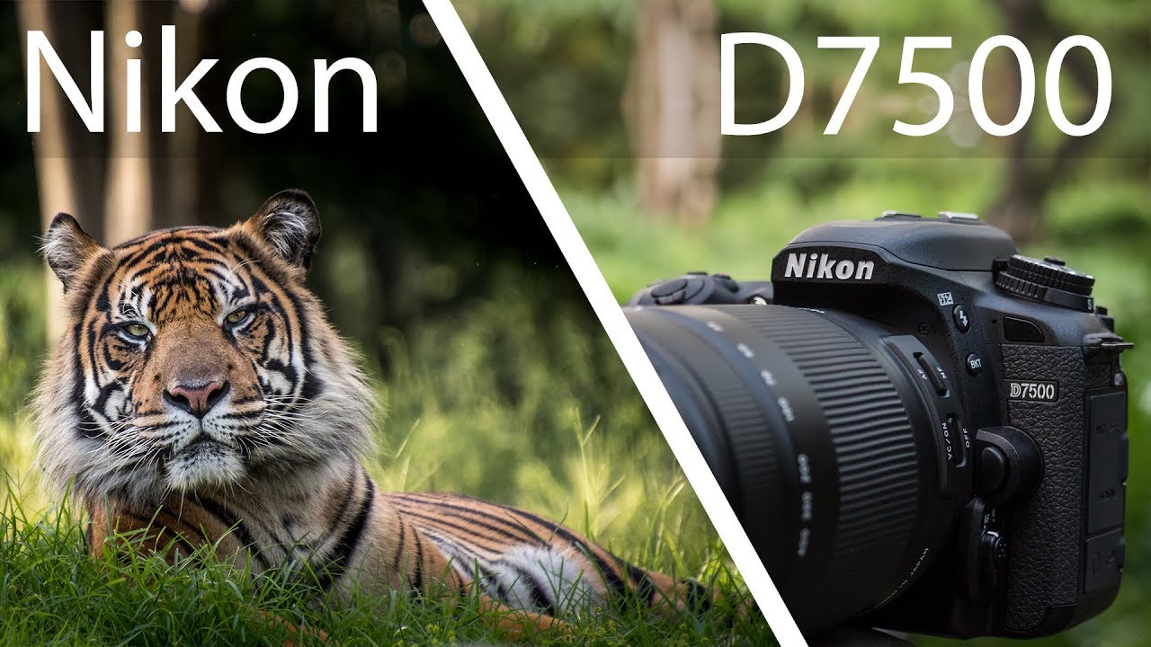 Nikon D7500 là một cái tên nổi bật khác trong danh sách