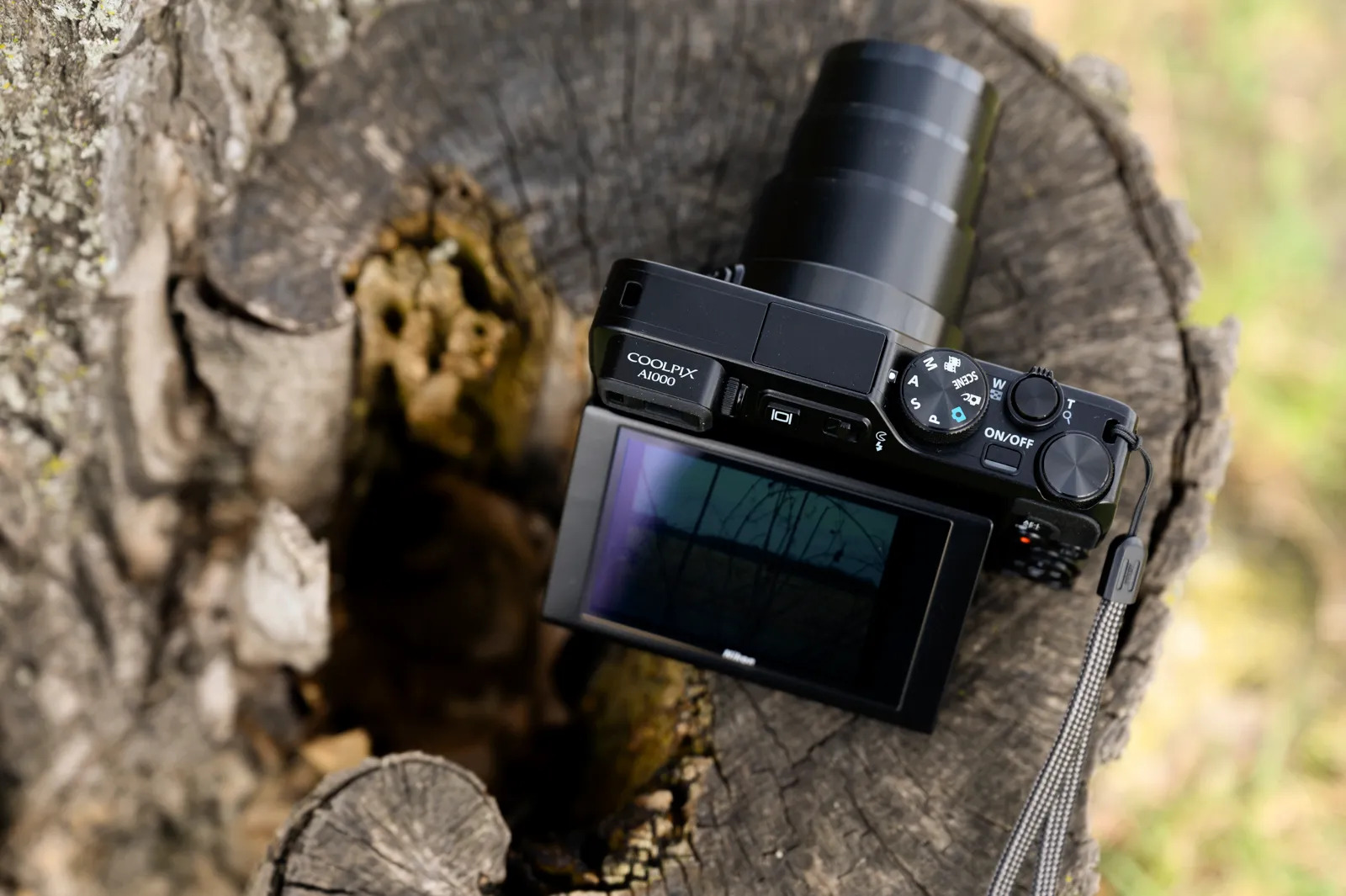 Nikon Coolpix A1000 là một lựa chọn với giá phải chăng