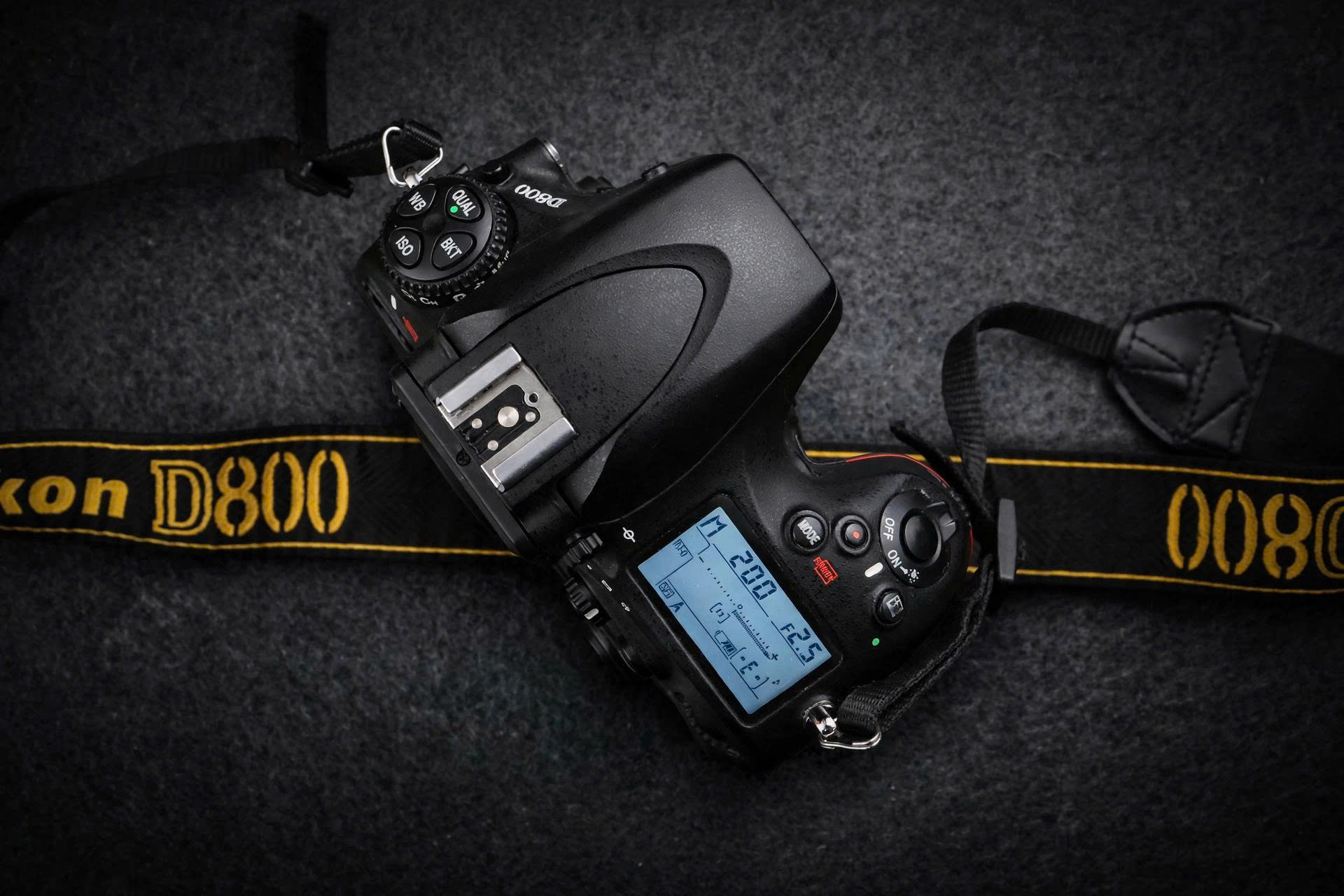 nikon d800 vs d750