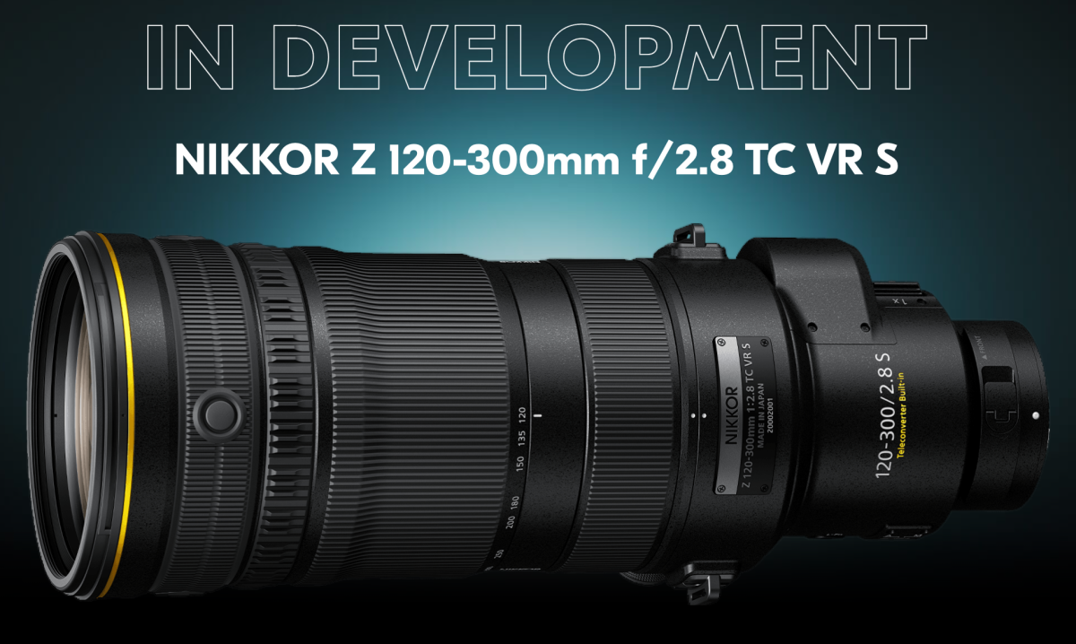 nikon z 120-300mm f2.8