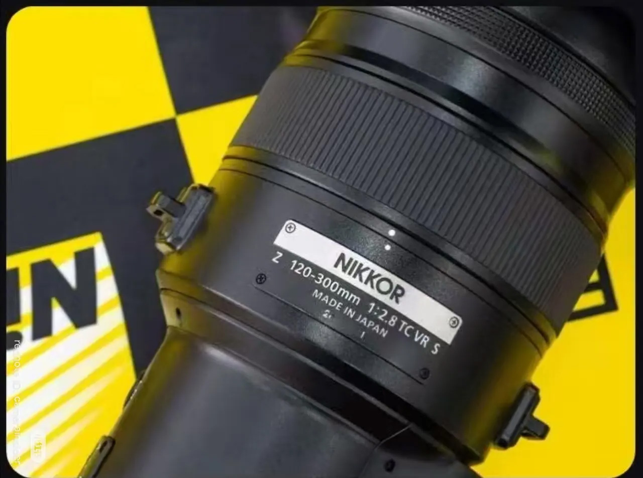 nikon z 120-300mm f2.8