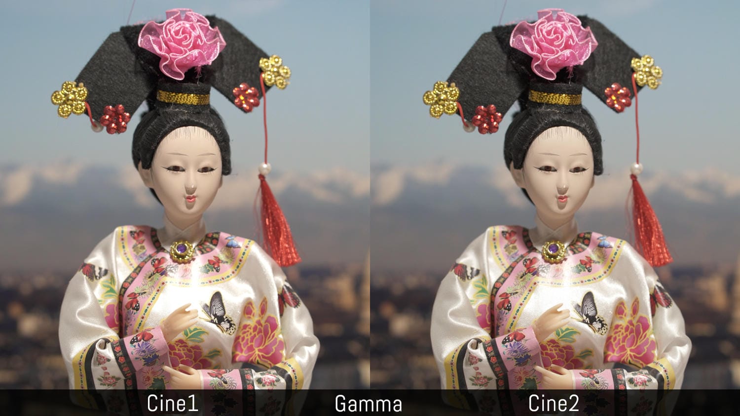 picture profile sony là gì