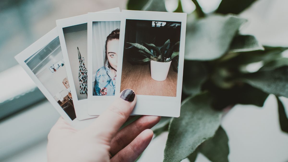 polaroid là gì