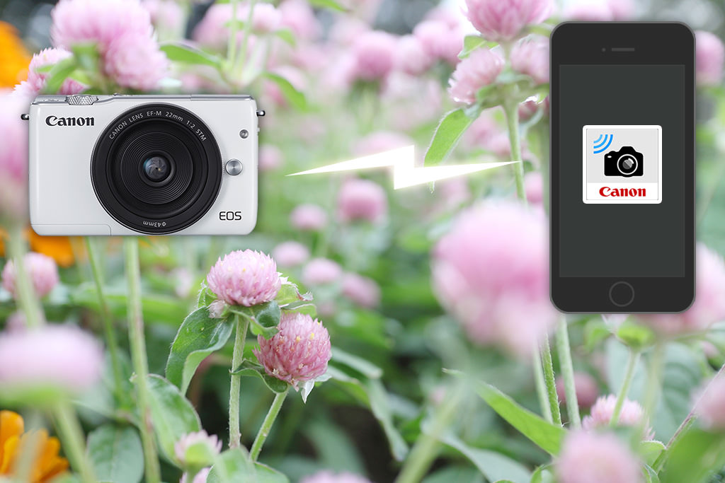 Tính năng Wi-Fi trên Canon M10 giúp chia sẻ ảnh tức thì qua điện thoại.