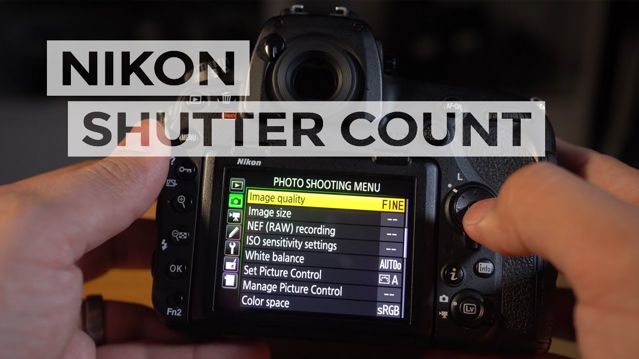 shutter count count